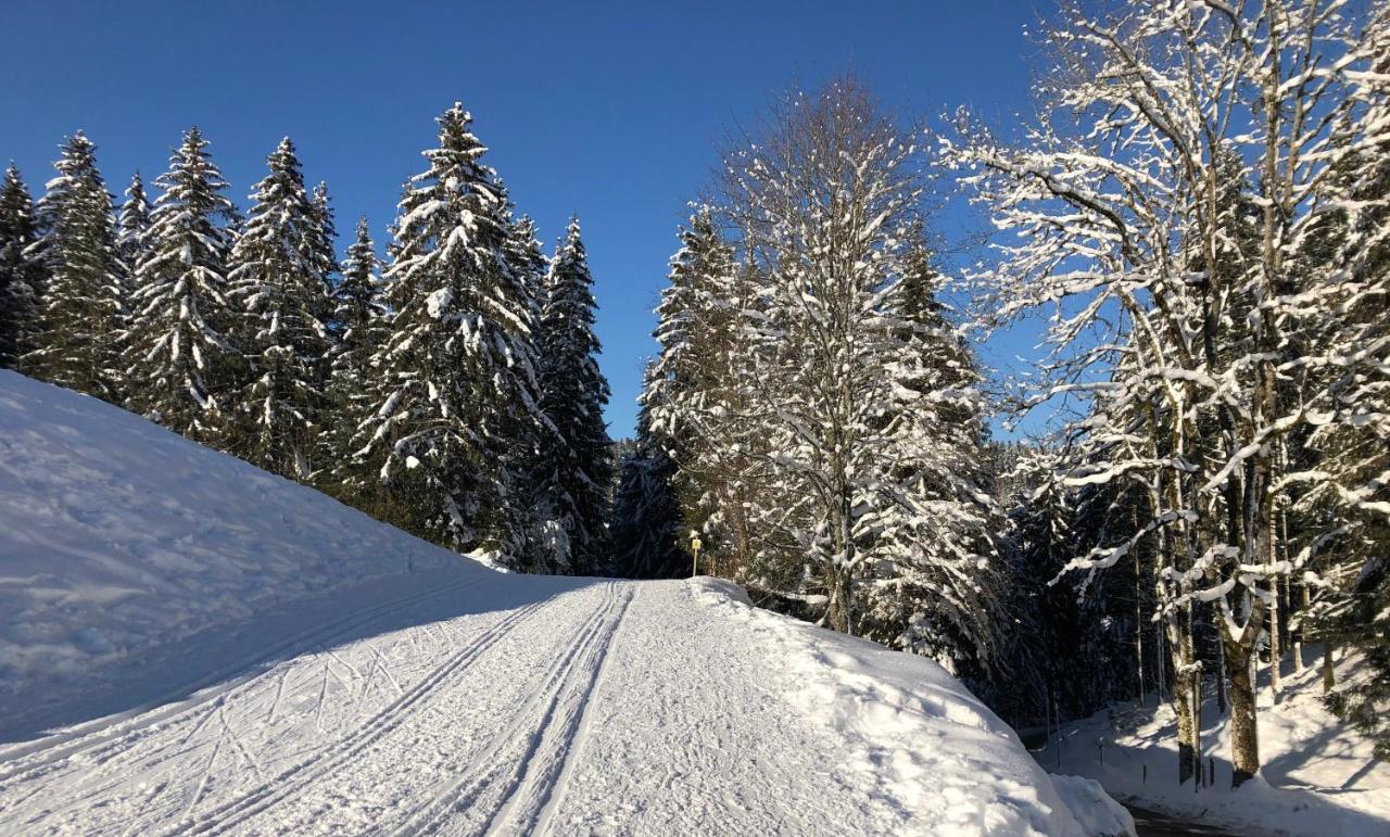 Le Batelier Du Lac Gérardmer Exteriér fotografie